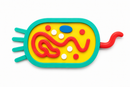 Modelo Anatômico de Célula Bacteriana Educativa