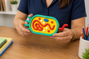 KIT EDUCATIVO DE BIOLOGIA 🧬 Células Animal, Vegetal e Bacteriana